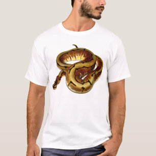 Spider Ball Python T-Shirt