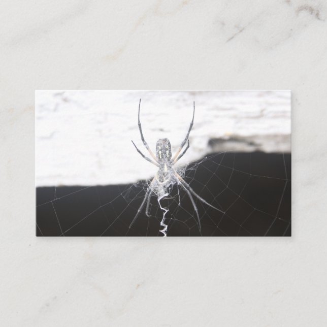 Spider Business Cards (Front)