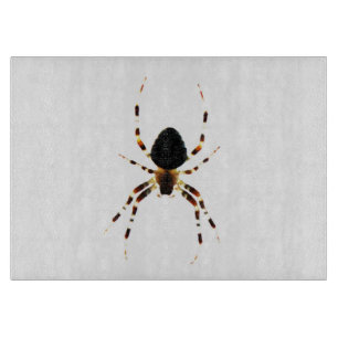 Spider cbcn cutting board