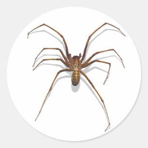 Spider Classic Round Sticker