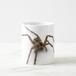 spider coffee mug