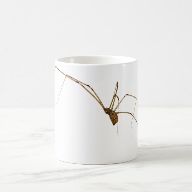Spider Coffee Mug (Center)