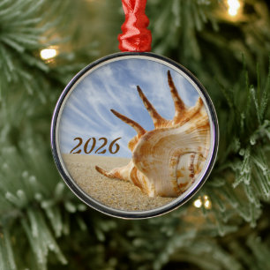 Spider Conch Shell on Sandy Beach Blue Sky Metal Tree Decoration