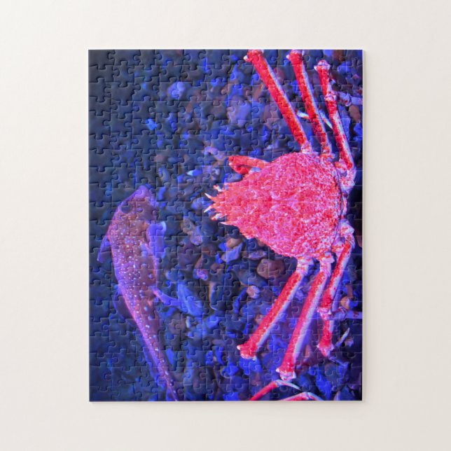 Spider Crabs. Jigsaw Puzzle (Vertical)