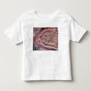 Spider Crater, Western Australia Toddler T-Shirt