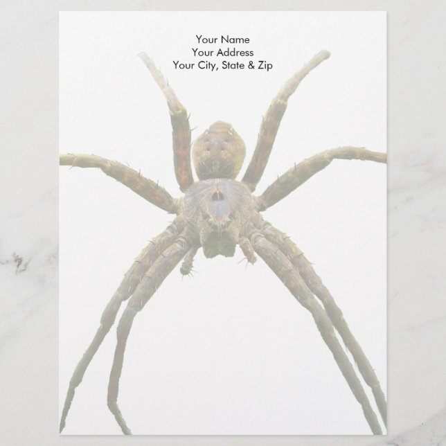 Spider Custom Letterhead (Front)