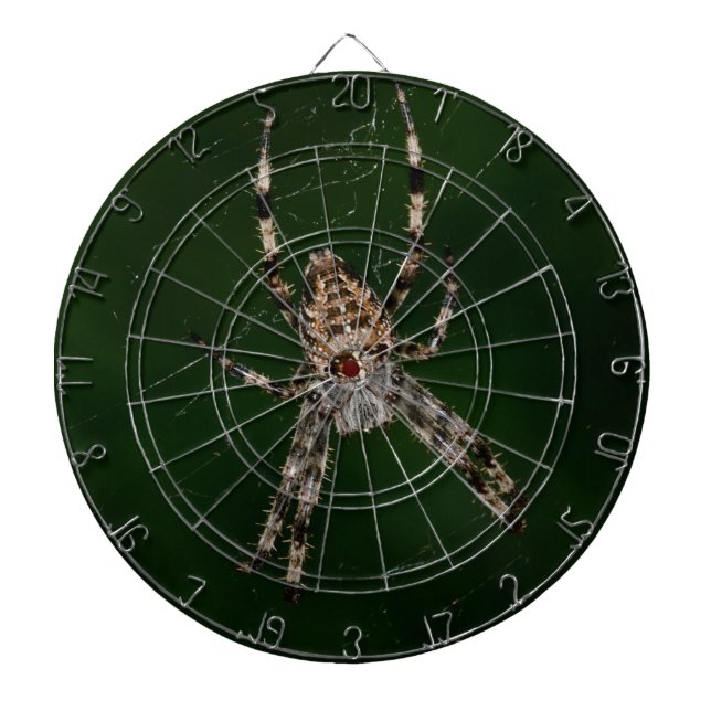 Spider Dartboard (Front)