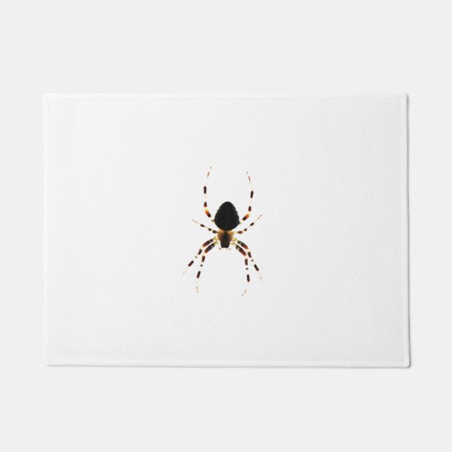 Spider dmcna doormat (Front)