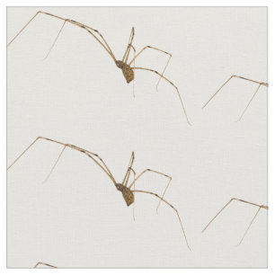 Spider Fabric