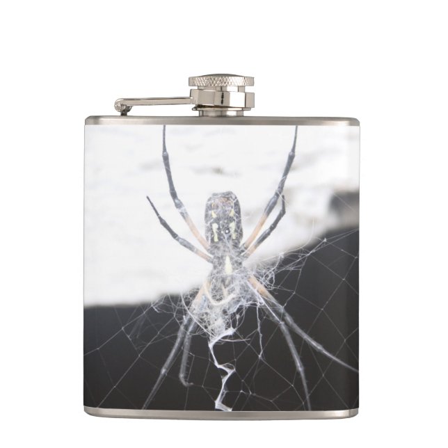 Spider Flasks (Front)