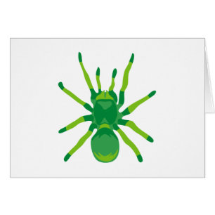 Spider (Green)