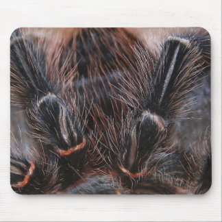 spider hair mouse pad