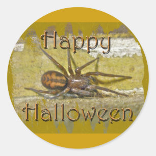 Spider Halloween Holiday Coordinating Items Classic Round Sticker