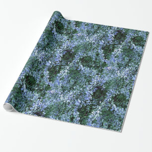 Spider Haven... Wrapping Paper