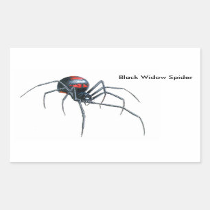 Spider image for Rectangle-Stickers-Glossy Rectangular Sticker