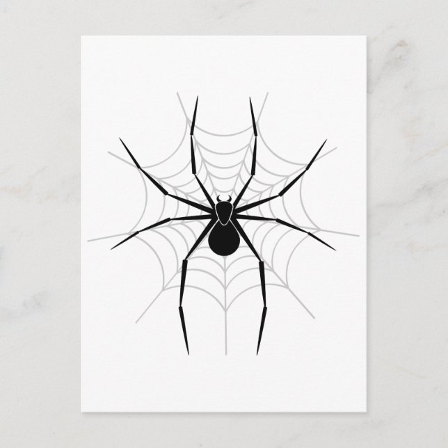 Spider in a Web Postcard (Front)