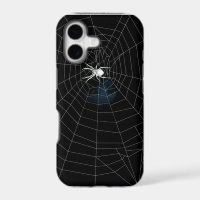 spider in web