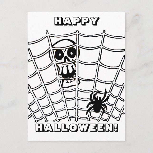 Spider in Web with Skull Postcard (Front)
