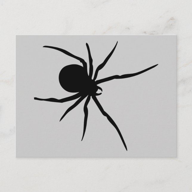 Spider Insects Spiders Arachnida Black Art Animal Postcard (Front)