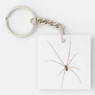 Spider Key Ring
