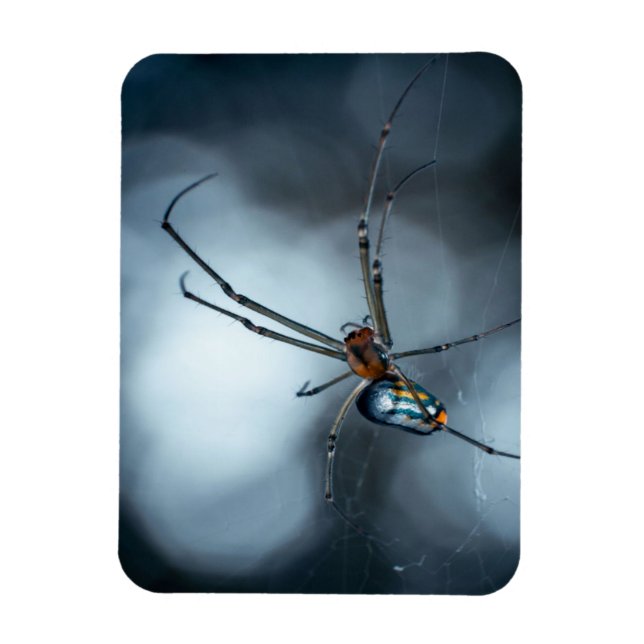 Spider Lovers | Beauty Spider With Webs Magnet (Vertical)