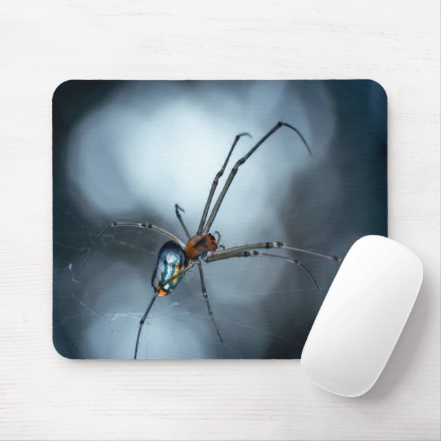 Spider Lovers | Beauty Spider With Webs Mouse Pad (With Mouse)