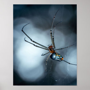 Spider Lovers Beauty Spider With Webs Poster