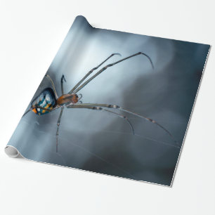 Spider Lovers Beauty Spider With Webs Wrapping Paper