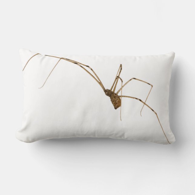 Spider Lumbar Cushion (Front)