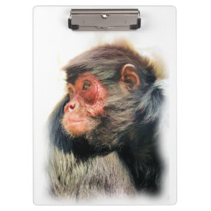 SPIDER MONKEY CLIPBOARD