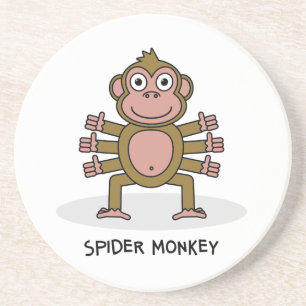 Spider Monkey Coaster
