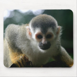 Spider Monkey Mouse Pad