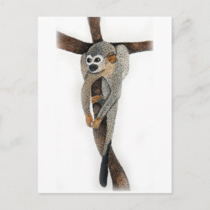 spider monkey pen art postcard