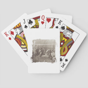 Spider Monkeys Playing Cards