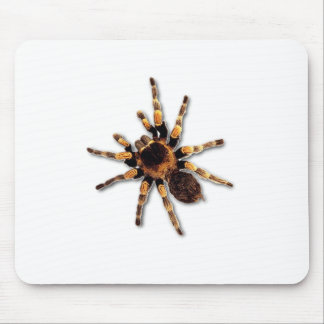 Spider Mouse Pad