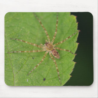 Spider Mouse Pad