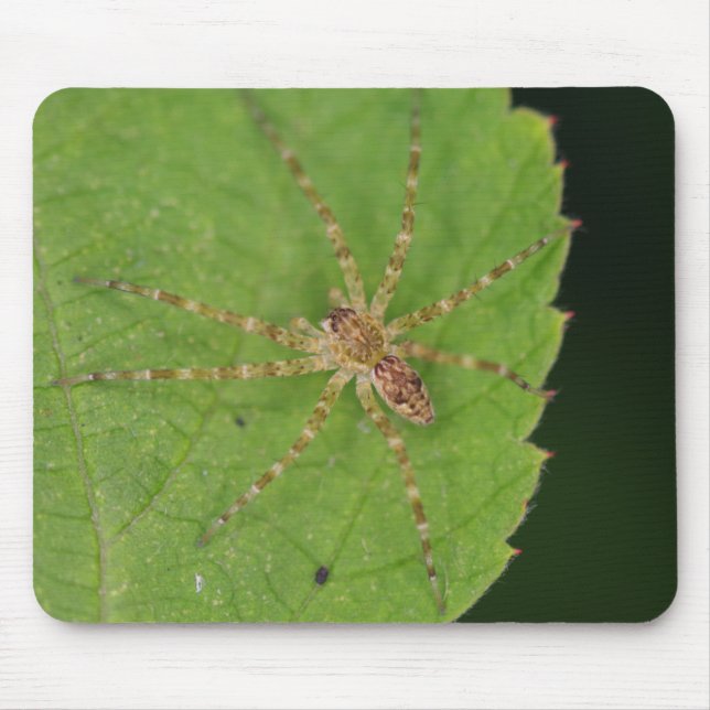 Spider Mouse Pad (Front)