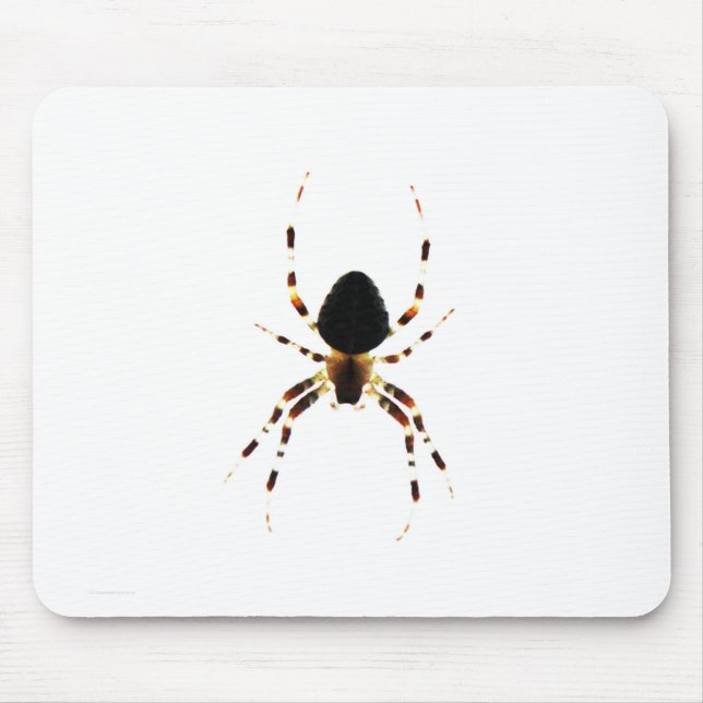 Spider mpcna mouse pad (Front)