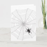 Spider net