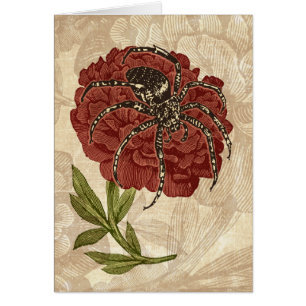 Spider On Flower