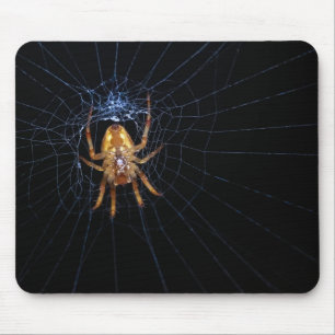 Spider on spiderweb mouse pad