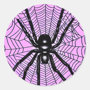  Spider on Web  Classic Round Sticker