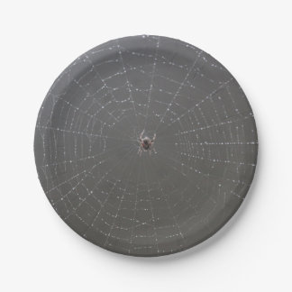 Spider Paper Plates