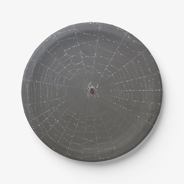 Spider Paper Plates (Front)