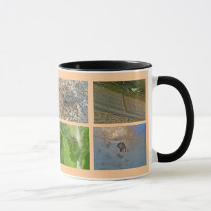 Spider Patches Mug