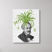 Spider Plant Head