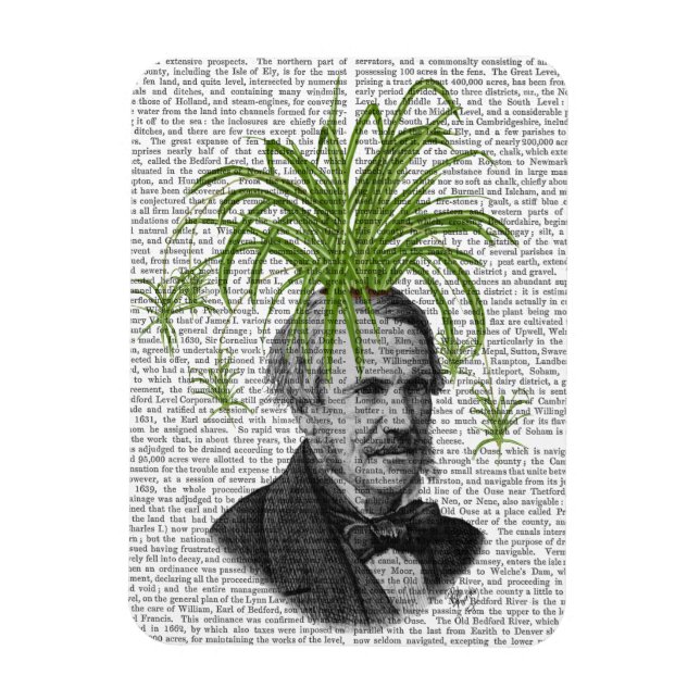 Spider Plant Head Magnet (Vertical)