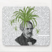 Spider Plant Head