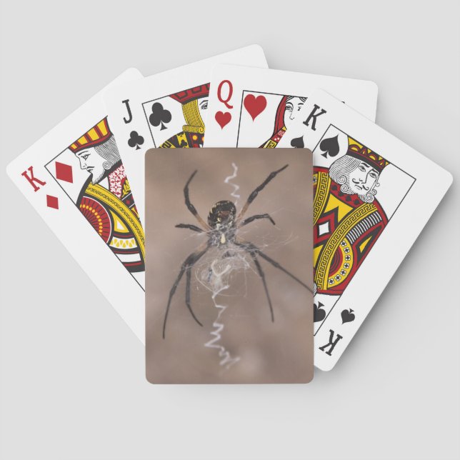 Spider Playing Cards (Back)