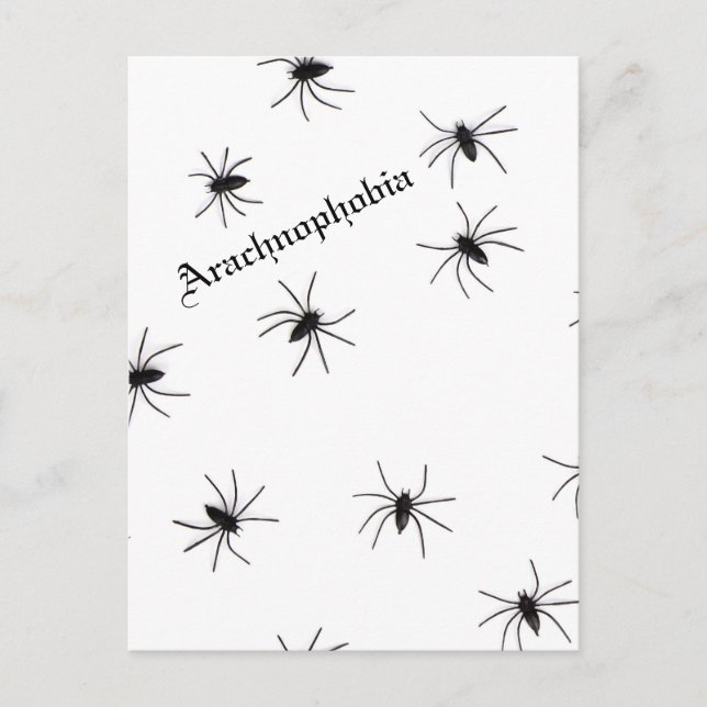 Spider Postcard (Front)